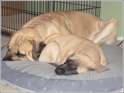 Bruce & Lizzie