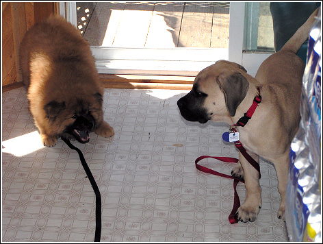 Bruce and Tyler meet for the first time