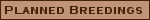 Planned Breedings