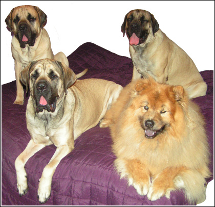 Morganna, Tyler, Lizzie, and Bruce