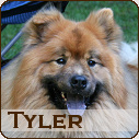 Tyler